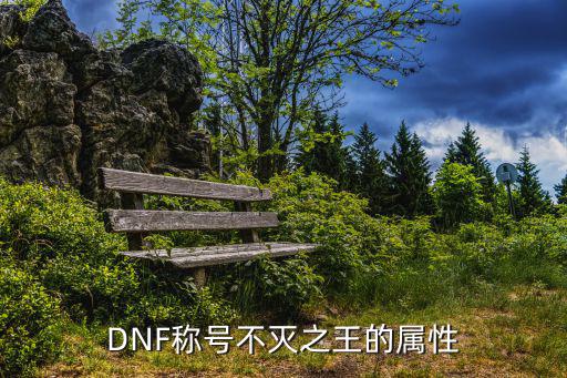DNF称号不灭之王的属性