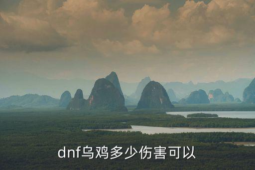 dnf乌鸡多少伤害可以