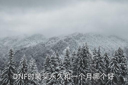 游戏装备永久和限时哪个好，DNF时装买永久和一个月哪个好