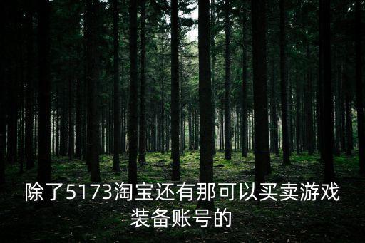 除了5173淘宝还有那可以买卖游戏装备账号的