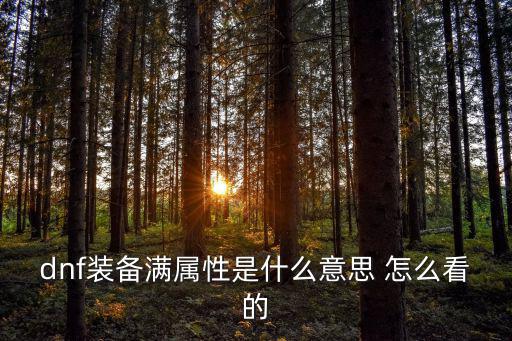 dnf全属性是什么属性，dnf装备满属性是什么意思 怎么看的
