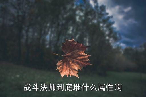 战斗法师到底堆什么属性啊