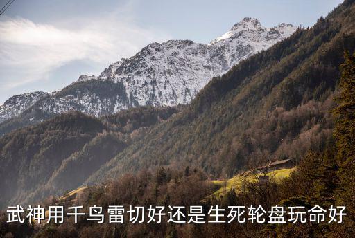 武神用千鸟雷切好还是生死轮盘玩命好