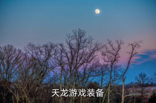 天龙游戏装备