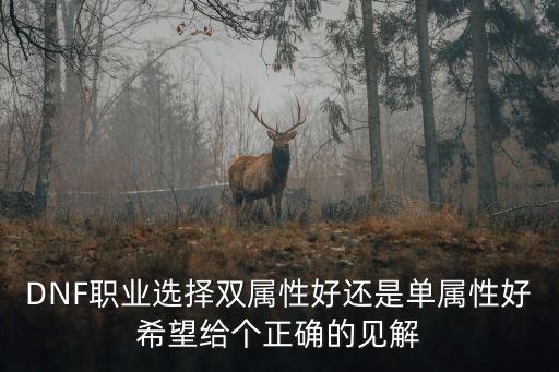 DNF职业选择双属性好还是单属性好希望给个正确的见解