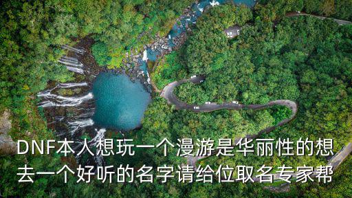 里维斯什么属性dnf，DNF本人想玩一个漫游是华丽性的想去一个好听的名字请给位取名专家帮