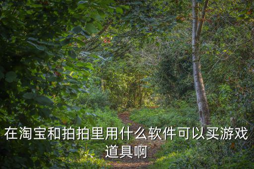在淘宝和拍拍里用什么软件可以买游戏道具啊