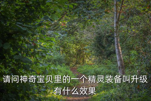 请问神奇宝贝里的一个精灵装备叫升级有什么效果
