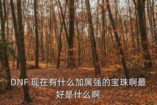 DNF 现在有什么加属强的宝珠啊最好是什么啊