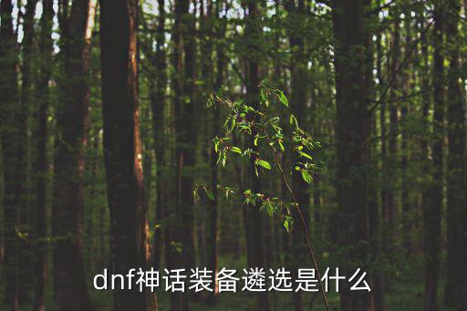 dnf神话装备遴选是什么