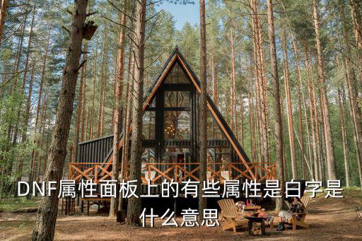 dnf什么属性是白字属性，dnf遴选白字是什么词条