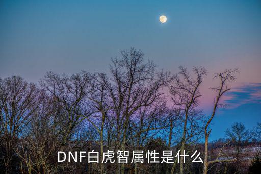 DNF白虎智属性是什么