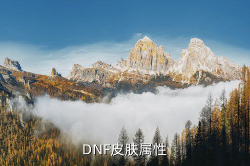 dnf皮肤有什么属性，DNF皮肤属性