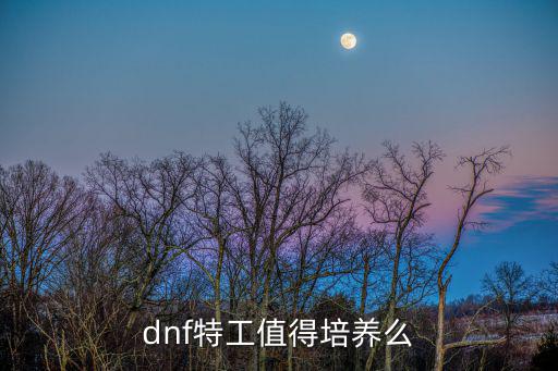 dnf特工玩什么属性，dnf特工值得培养么