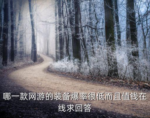 哪一款网游的装备爆率很低而且值钱在线求回答