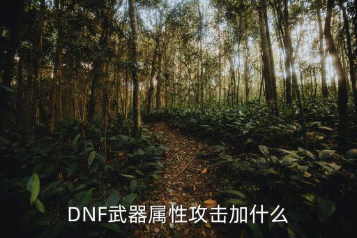 DNF武器属性攻击加什么