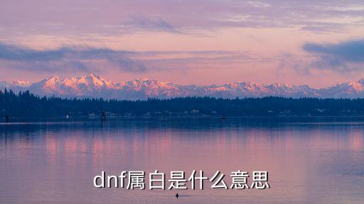 dnf属白是什么意思