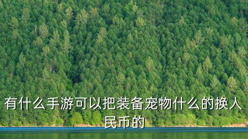 有什么手游可以把装备宠物什么的换人民币的