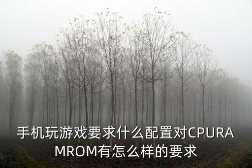 手机玩游戏要求什么配置对CPURAMROM有怎么样的要求