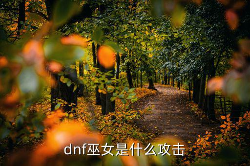 dnf女巫点什么属性，dnf巫女是什么攻击