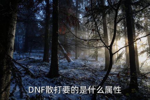 dnf散打推荐什么属性，DNF男散打是堆什么属性的