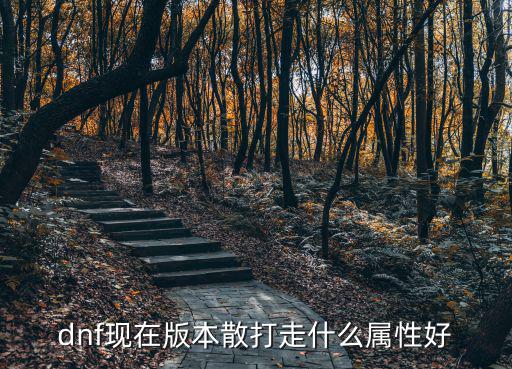 dnf现在版本散打走什么属性好