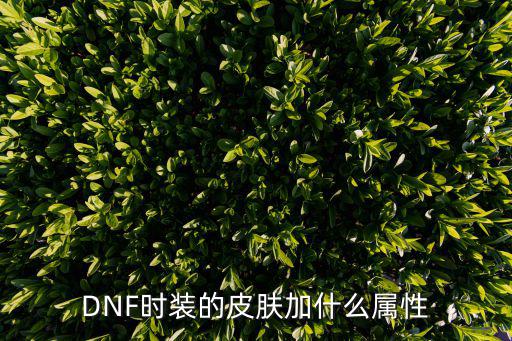 dnf换装加什么属性，DNF时装应加什么属性多啊详细的说一下