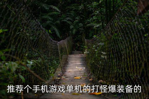 推荐个手机游戏单机的打怪爆装备的