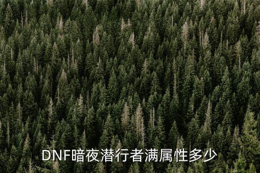DNF暗夜潜行者满属性多少