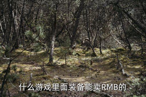 哪个传奇游戏装备可以卖钱，什么游戏里面装备能卖RMB的