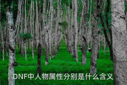 DNF中人物属性分别是什么含义