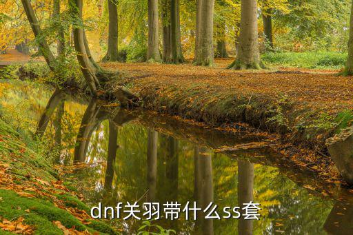 dnf关羽带什么ss套