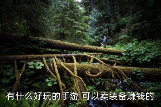 有什么好玩的手游 可以卖装备赚钱的