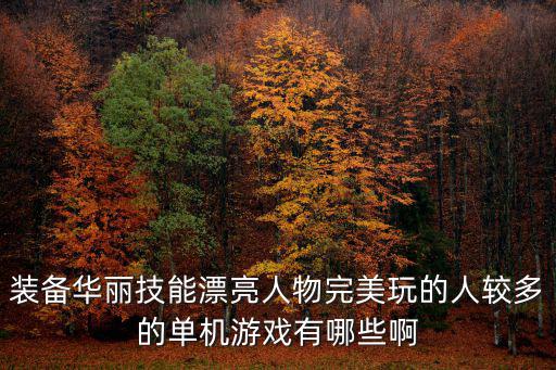 装备华丽技能漂亮人物完美玩的人较多的单机游戏有哪些啊