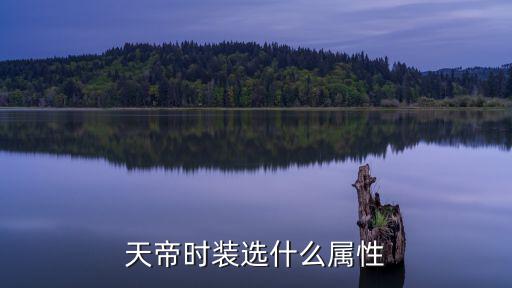 dnf龙袍上衣什么属性，天帝时装选什么属性