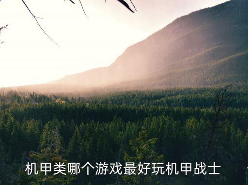 机甲类哪个游戏最好玩机甲战士