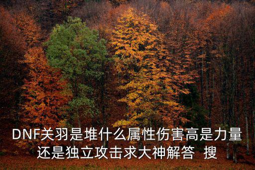 DNF关羽是堆什么属性伤害高是力量还是独立攻击求大神解答  搜