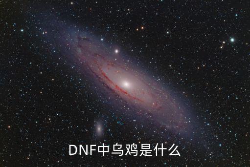 DNF中乌鸡是什么