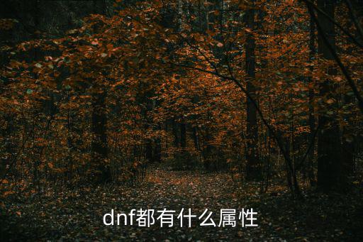 dnf都有什么属性