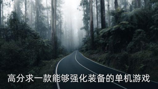 高分求一款能够强化装备的单机游戏