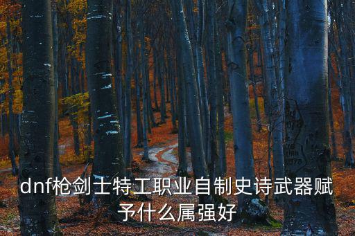 dnf枪剑士特工职业自制史诗武器赋予什么属强好