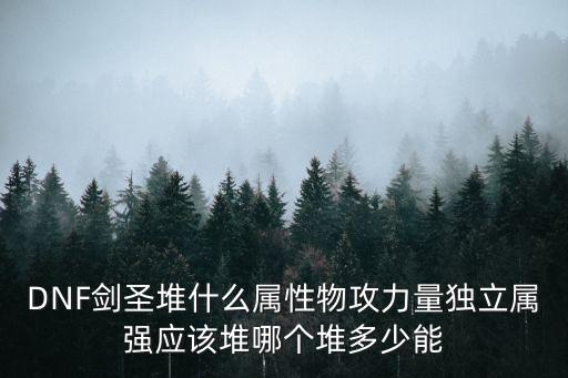 dnf 剑圣堆什么属性，DNF剑圣堆什么属性物攻力量独立属强应该堆哪个堆多少能