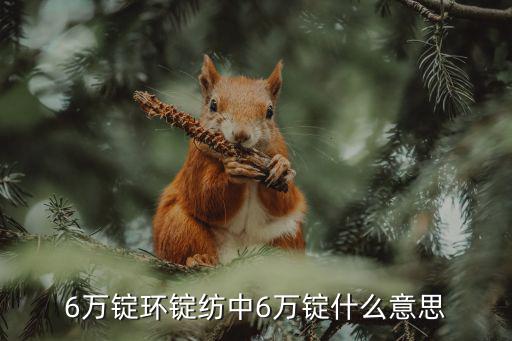 6万元游戏装备是什么意思，笔记本game 游戏装备是什么意思