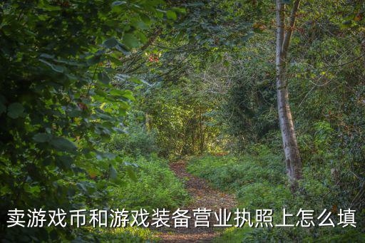 卖游戏币和游戏装备营业执照上怎么填