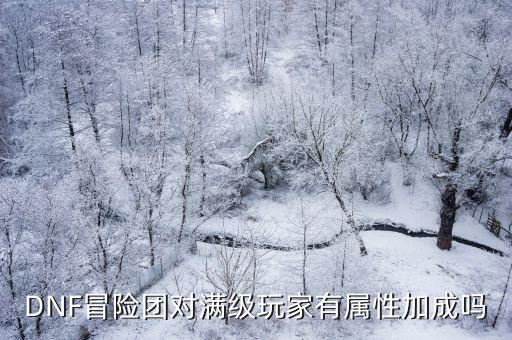 DNF冒险团对满级玩家有属性加成吗