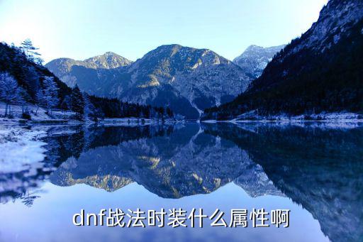 dnf战法什么属性好，dnf战法时装什么属性啊