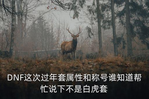 DNF这次过年套属性和称号谁知道帮忙说下不是白虎套