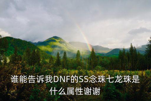 谁能告诉我DNF的SS念珠七龙珠是什么属性谢谢