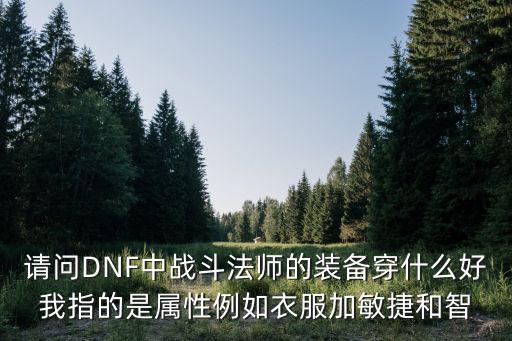 请问DNF中战斗法师的装备穿什么好我指的是属性例如衣服加敏捷和智