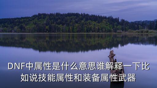 DNF中属性是什么意思谁解释一下比如说技能属性和装备属性武器